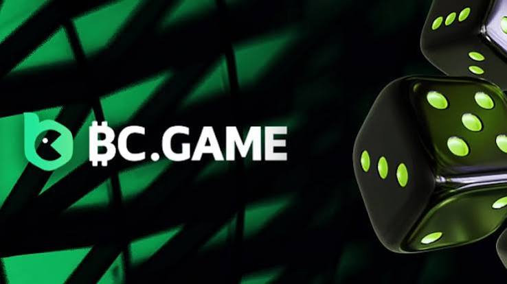 Understanding BC.Game Restricted Countries 803611192